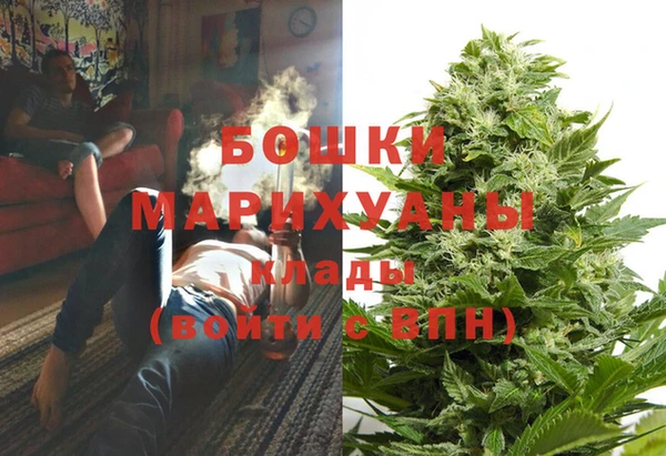 хмурый Арсеньев